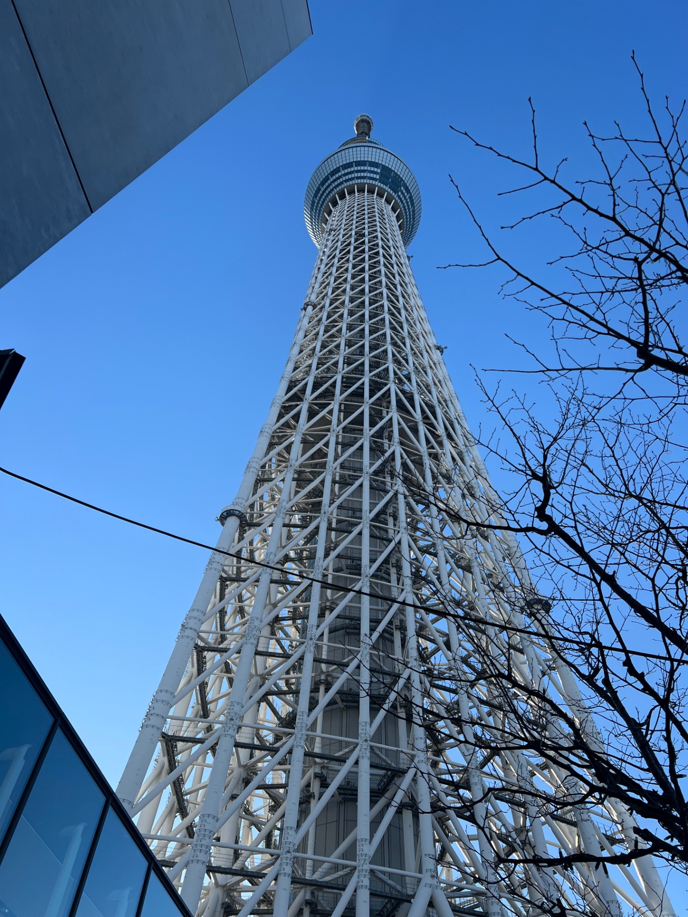 Tokyo Skytree von unten zwischen kahlen Ästen und Glasfassade vor blauem Himmel