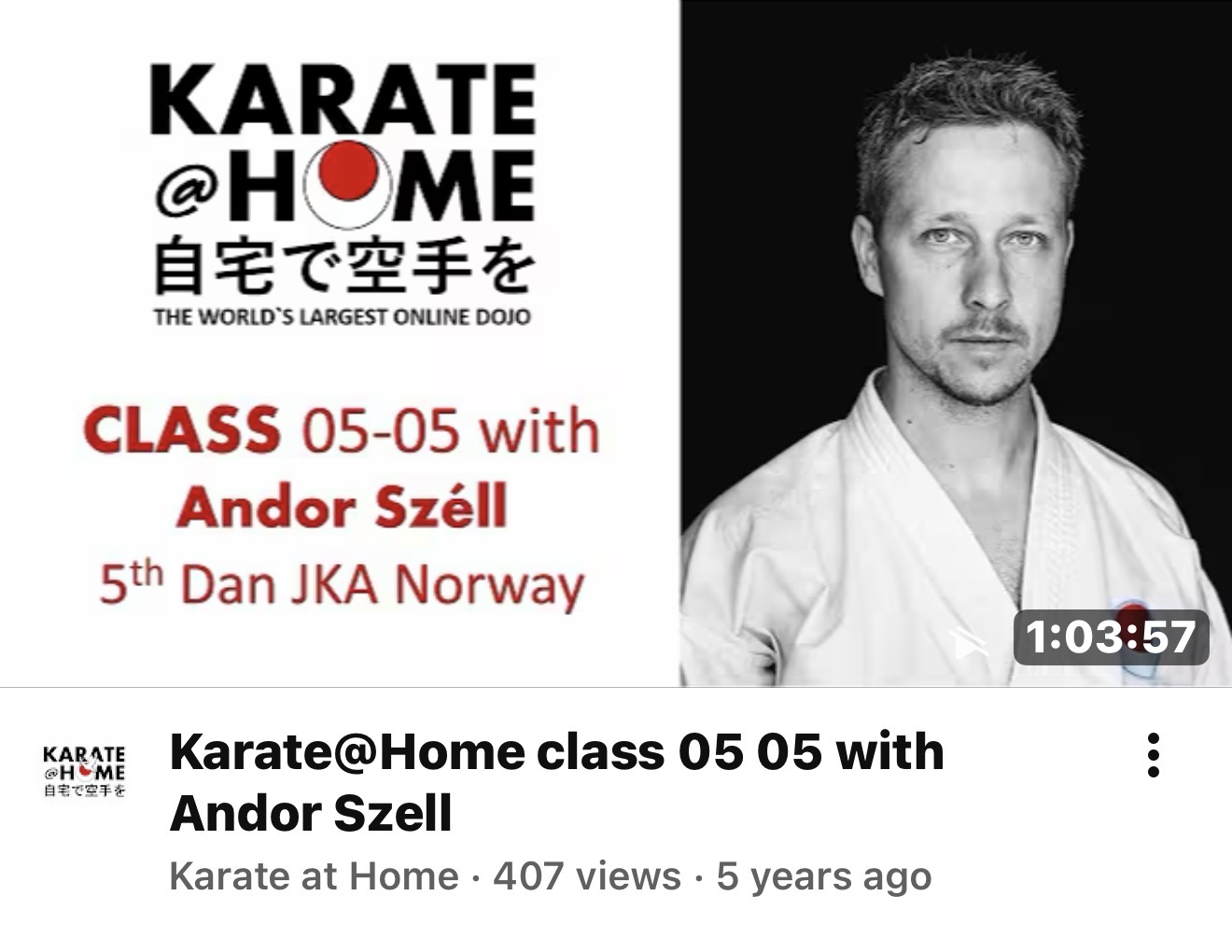 KARATE@HOME Class 05-05 mit Andor Széll