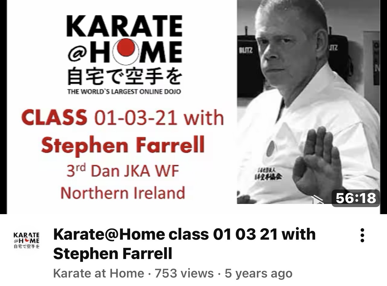 KARATE@HOME Class 01-03-21 mit Stephen Farrell